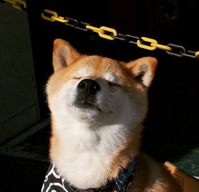 WRC历史上的“神操作”：那些惊天一击，wrc经典视频