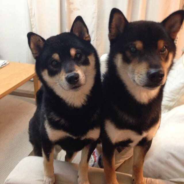 九游娱乐网站-_掘金攻守兼备，连战连捷士气高涨_，掘金战况