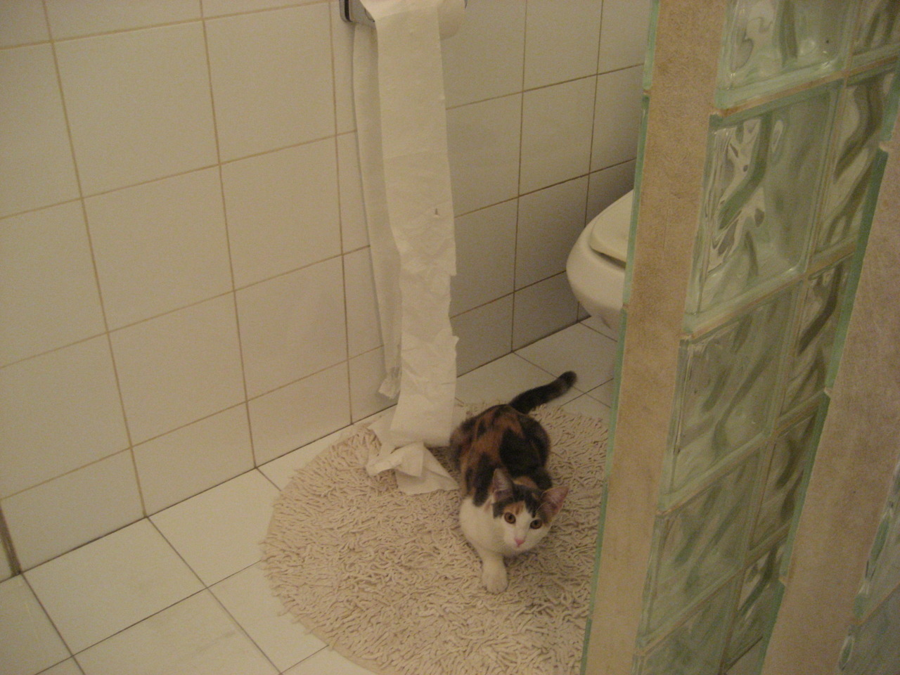 Nine Gaming-“中超季前热身赛火热开启，球队状态调研进行中”，中超今天晚上热身赛