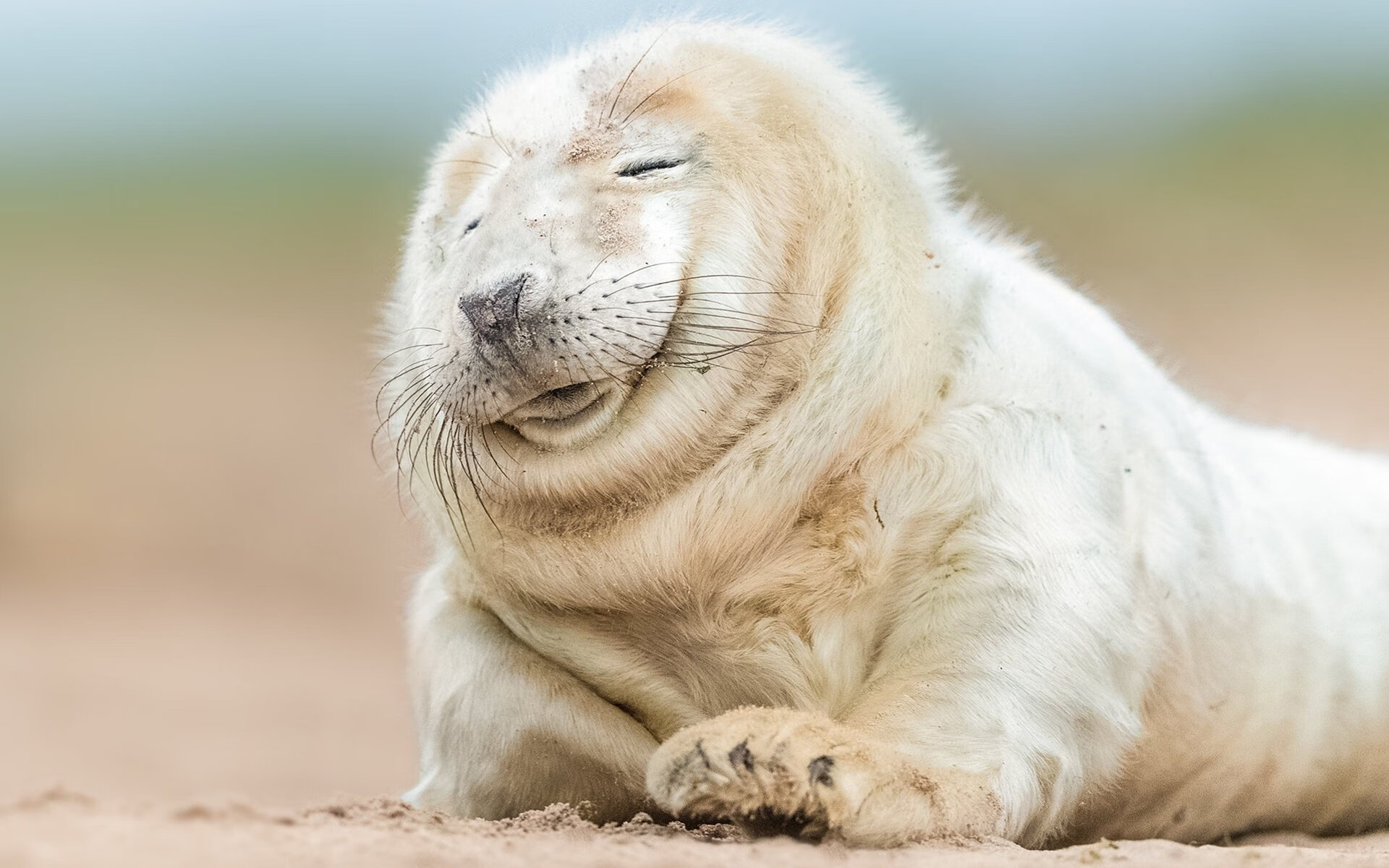 《《堡垒之夜》引入“未来科技”主题，带来全新娱乐体验》，堡垒之夜百科