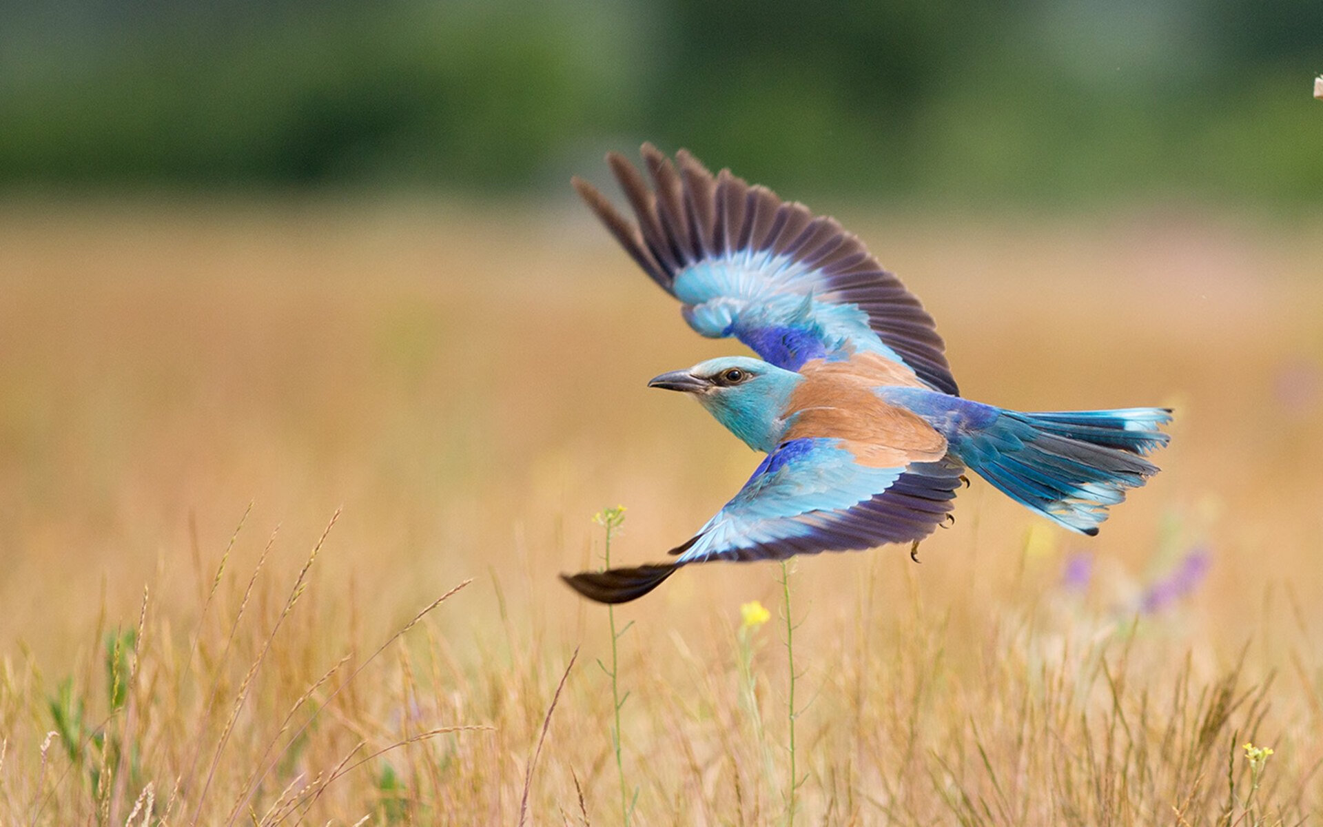 九游体育登录入口-中学生篮球比赛火热开赛，校园体育氛围浓厚，初中篮球赛事