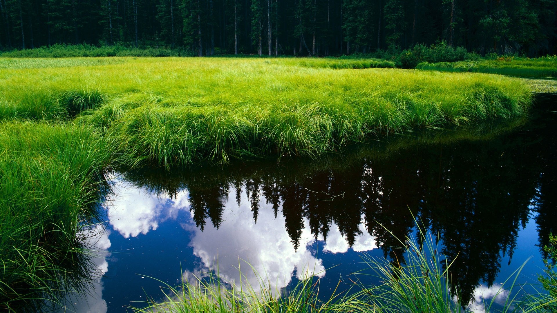 国足门将训练专属项目提升扑救能力，国足门将水平